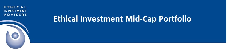 EIA Mid Cap Header